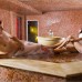 Steam Sauna in Estonian Spa